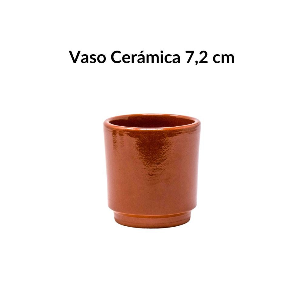 vasos de barro para cuajada