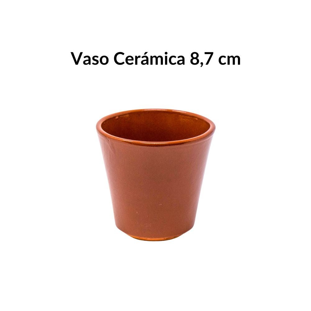 Vaso de barro marrón 8,7 cm | Terracota artesanal para bebidas (200 ml)